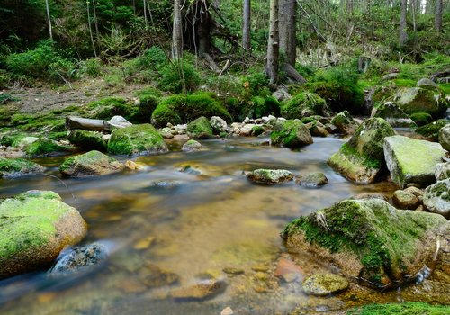 images