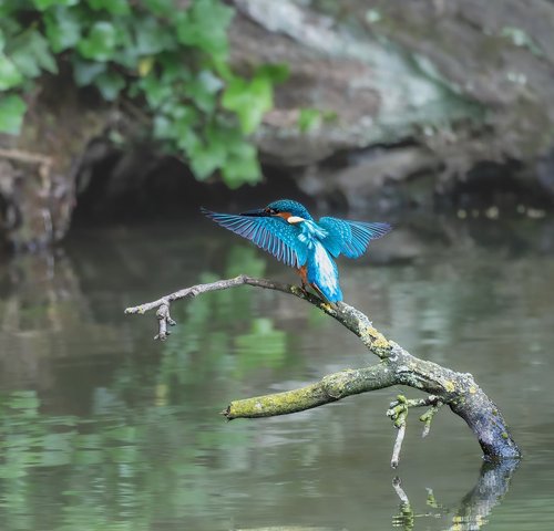 images